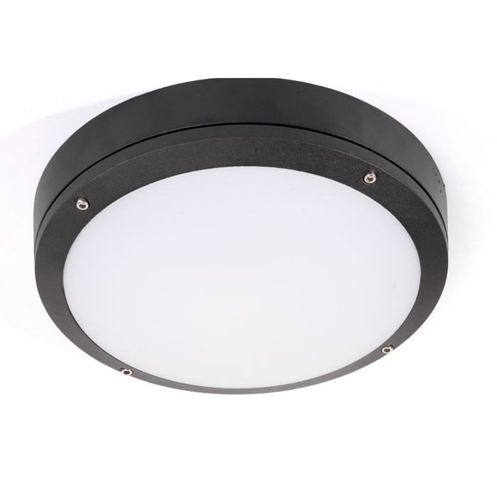 14W  D275X86mm LED Wall light-Full moon